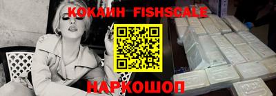 МДПВ Камышлов