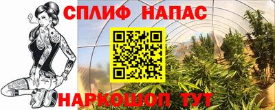 МДПВ Камышлов