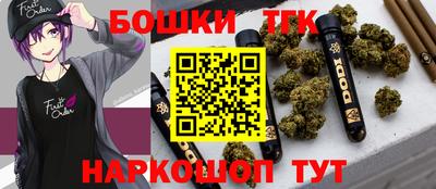 МДПВ Камышлов
