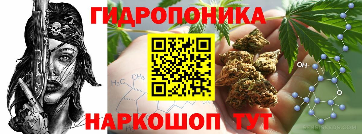 Канабис семена Кореновск